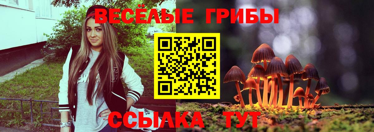 Чернушка  Псилоцибиновые грибы ЛСД  Вход с VPN  Галлюциногенные грибы Cubensis 